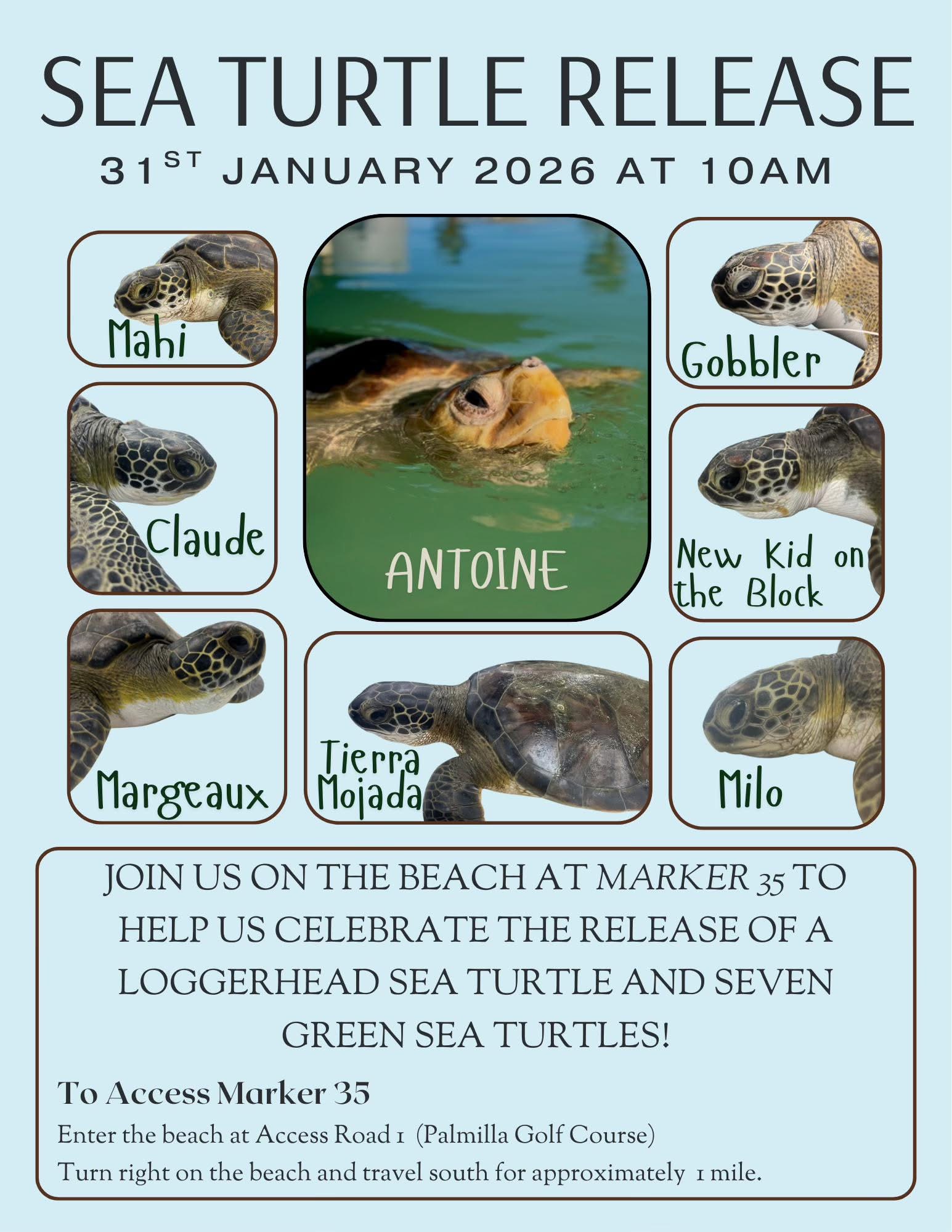 Postponed due to cold